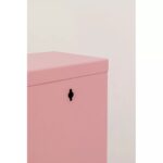 Shoe Container Caruso 3 Rose (MO) (15)
