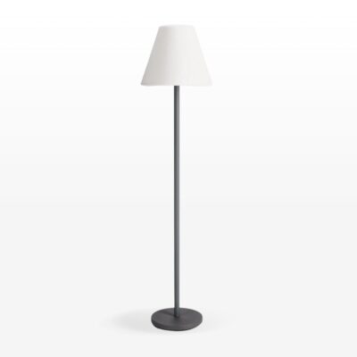 Solar Floor Lamp with Speaker Black 170cm