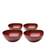 Bowl Vibrations Red Ø18cm (4)