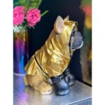 Money Box Boxing Dog 26cm (3)