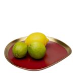 Plate Vibrations Red Ø27cm (4)