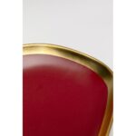 Plate Vibrations Red Ø27cm (7)