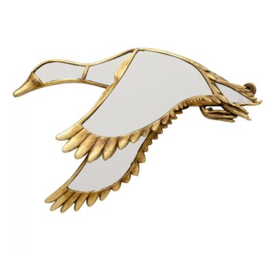 Wall Object Duck Mirror 37x24cm (8)