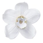 Wall Object Orchid White 54cm