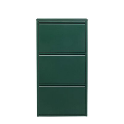 Shoe Container Caruso 3 Green (MO)